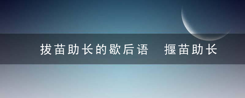 拔苗助长的歇后语 揠苗助长歇后语下一句？